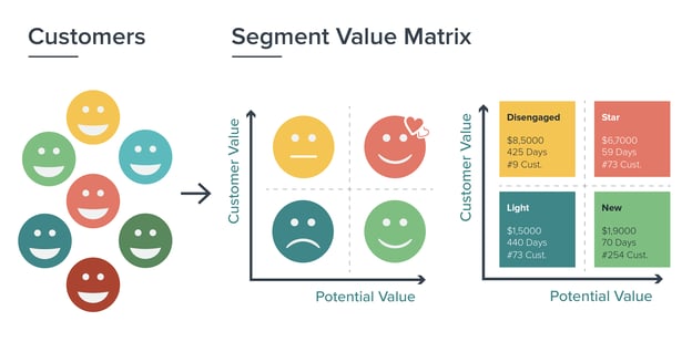 Segment Value Matrix